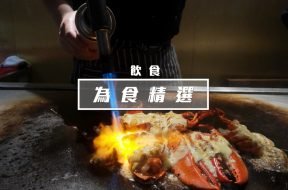 WhatsApp Image 2018-11-13 at 18.22.25