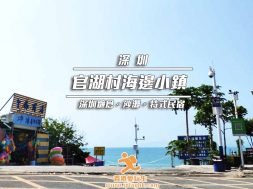 Cover_ShenZhenGuanWuChun