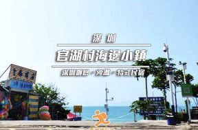 Cover_ShenZhenGuanWuChun