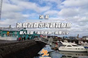 Cover_Whale-watching-tour-iceland