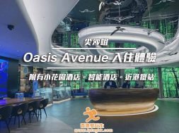 Cover_Oasis_Avenue_TST