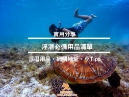 Cover – Snokeling – iPlayHK