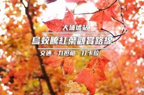 Cover_大埔紅葉-iPlayHK-2021