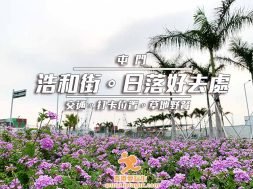 Cover_屯門浩和街-iPlayHK