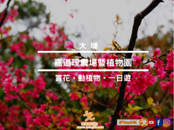 679C1FD5-E248-4A30-84D5-86757C1042B9