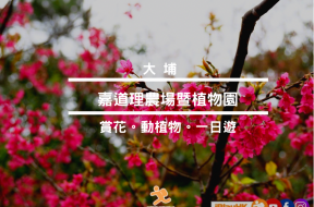 679C1FD5-E248-4A30-84D5-86757C1042B9