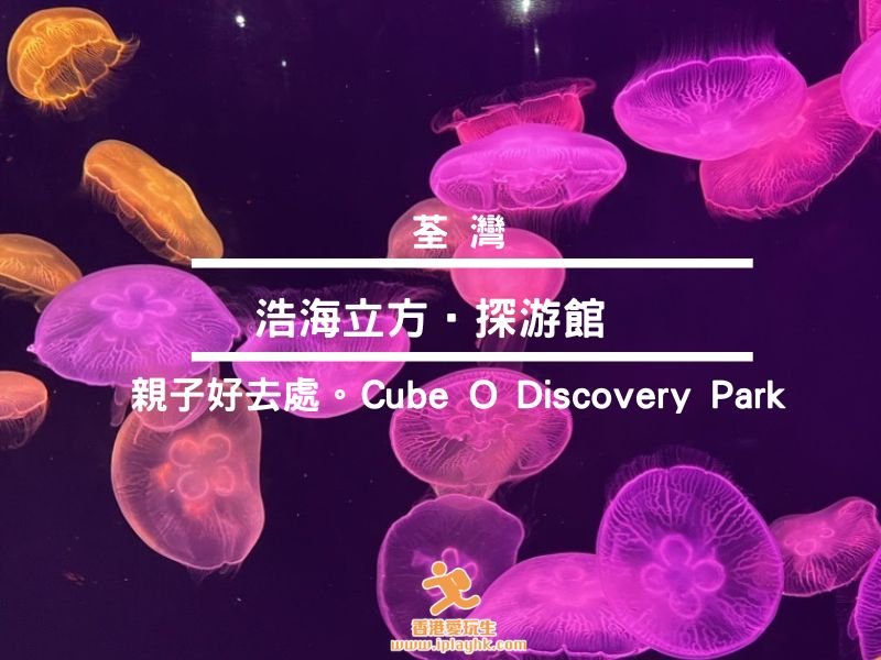 親子好去處｜浩海立方•探游館 Cube O Discovery Park (水母水族館、荃灣室內遊樂場、餐廳) ～附優惠購票攻略