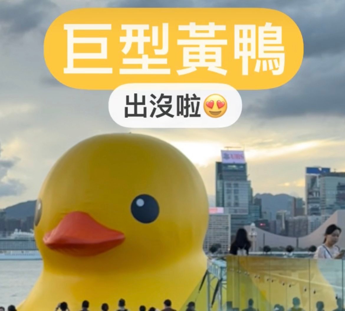 前往方法 | 充氣巨型黃鴨(Rubber Duck)再來香港中環添馬海濱!打卡必去!