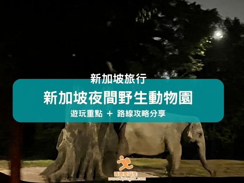 新加坡自由行 | 新加坡夜間野生動物園 – 遊玩重點 + 路線攻略分享! [附: 優惠門票資料]