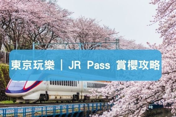 東京近郊櫻花2024 -JR Pass 去櫻花景點攻略-iPlayHK