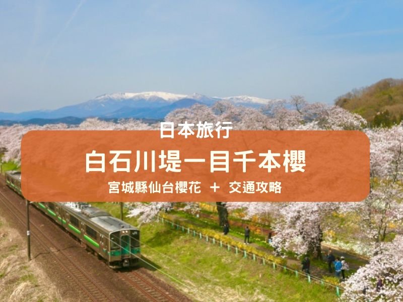仙台櫻花必去|白石川堤一目千櫻~8公里長、1,200棵櫻花!(附︰交通方法、櫻花祭)