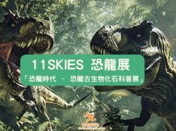 11Skies-exihibition-2025-Cover-iPlayHK