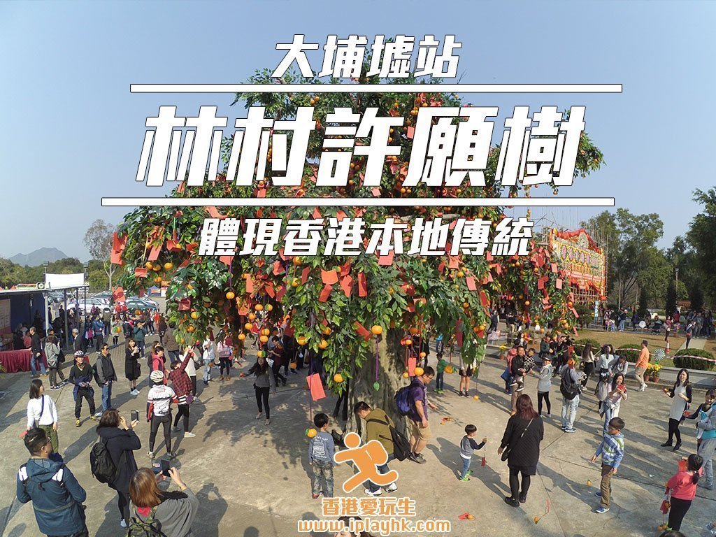 新年好去處|林村許願樹新春市場 (2025年/交通詳情/實時人流)