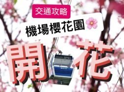 tungchung flower-cover-iPlayHK