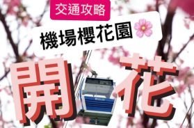 tungchung flower-cover-iPlayHK