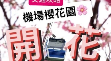 tungchung flower-cover-iPlayHK