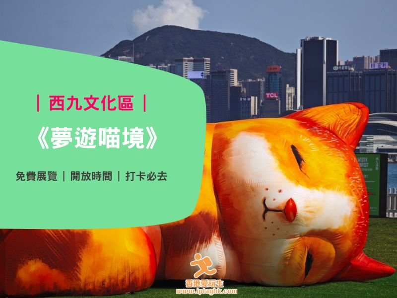 免費活動｜西九貓貓藝術裝置《夢遊喵境》詳情！西九家FUN藝術節2026！